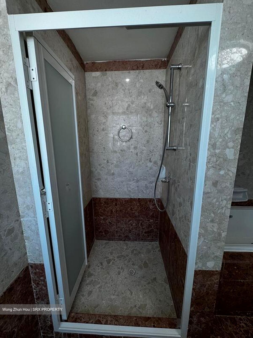 The Springbloom (D19), Condominium #614472441